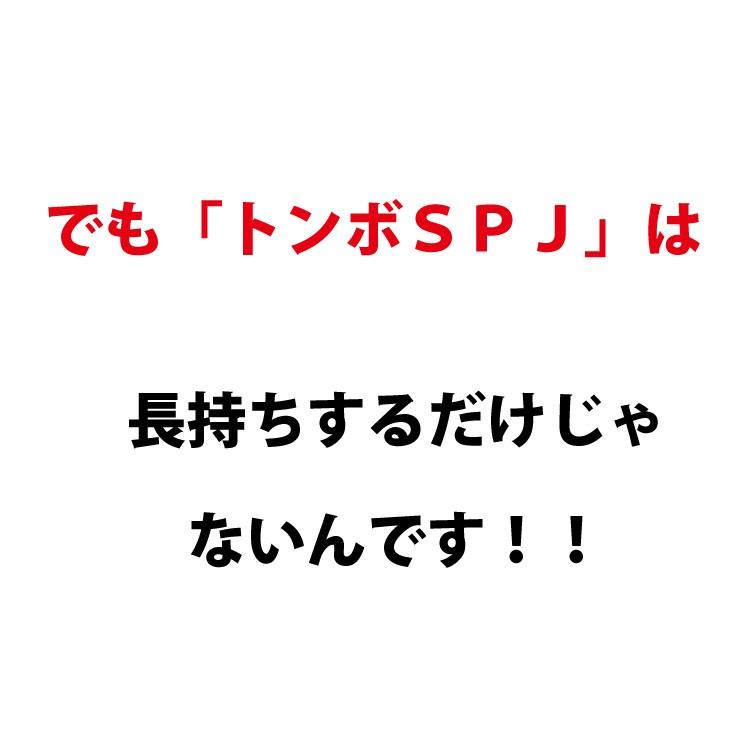 トンボ SPJ グラウンド 整備用 レーキ アルミ製で超軽量 10年使える (幅60cm) 子供用 完全日本製 雪かき 仕上げ SP SPORTS 爆買 | SP SPORTS | 07