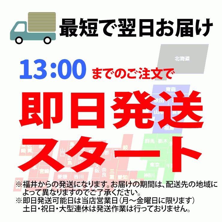 トンボ SP-NEO ひのきタイプ レーキ 叩ける！グラウンド整備 軽量スチール + 木製 レーキ 80cm幅  野球  完全日本製 SP SPORTS 爆買 | SP SPORTS | 10