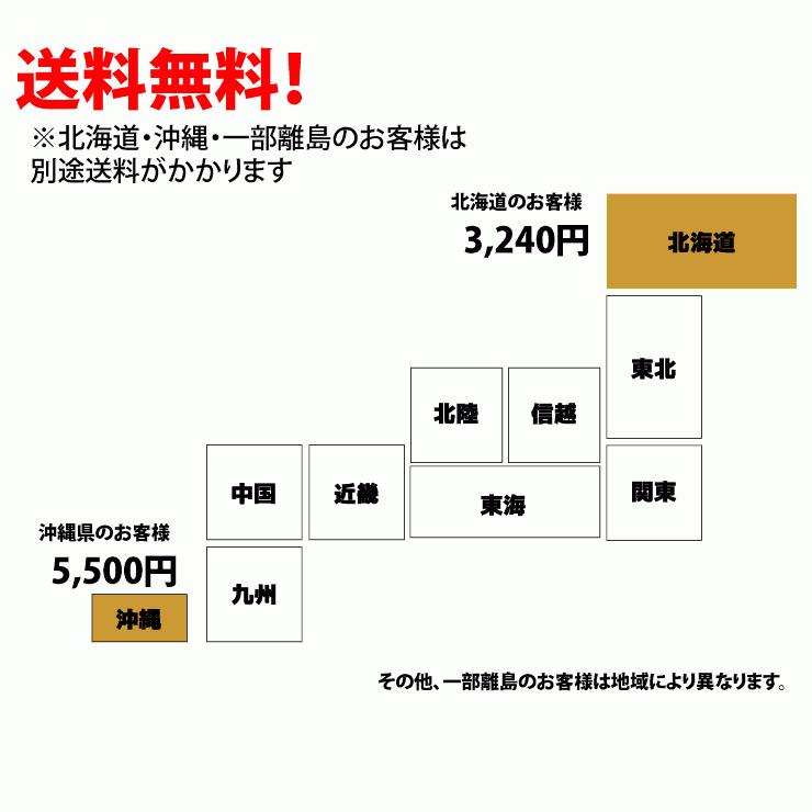 トンボ SP-NEO ひのきタイプ レーキ 叩ける！グラウンド整備 軽量スチール + 木製 レーキ 80cm幅  野球  完全日本製 SP SPORTS 爆買 | SP SPORTS | 11