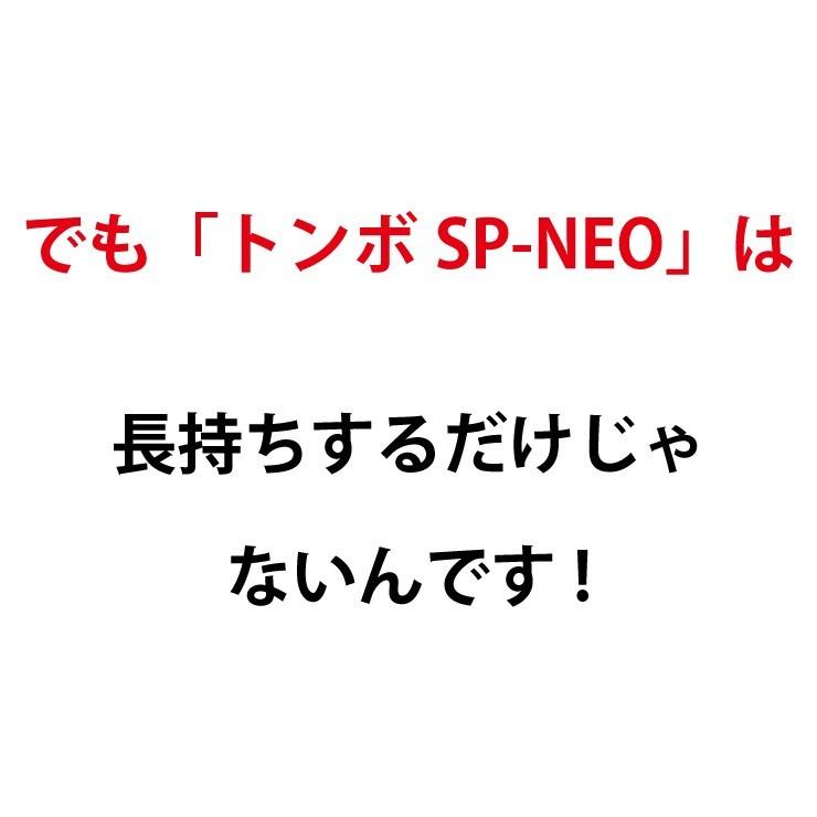 トンボ SP-NEO ひのきタイプ レーキ 叩ける！グラウンド整備 軽量スチール + 木製 レーキ 80cm幅  野球  完全日本製 SP SPORTS 爆買 | SP SPORTS | 06