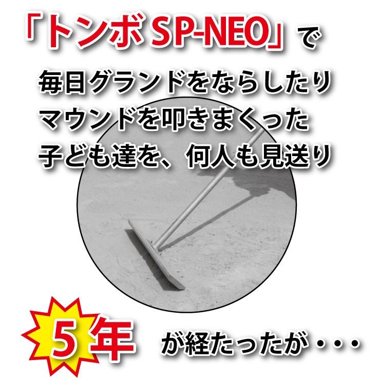 SP SPORTS トンボ SP-NEO ひのきタイプ レーキ 10本セット 叩ける