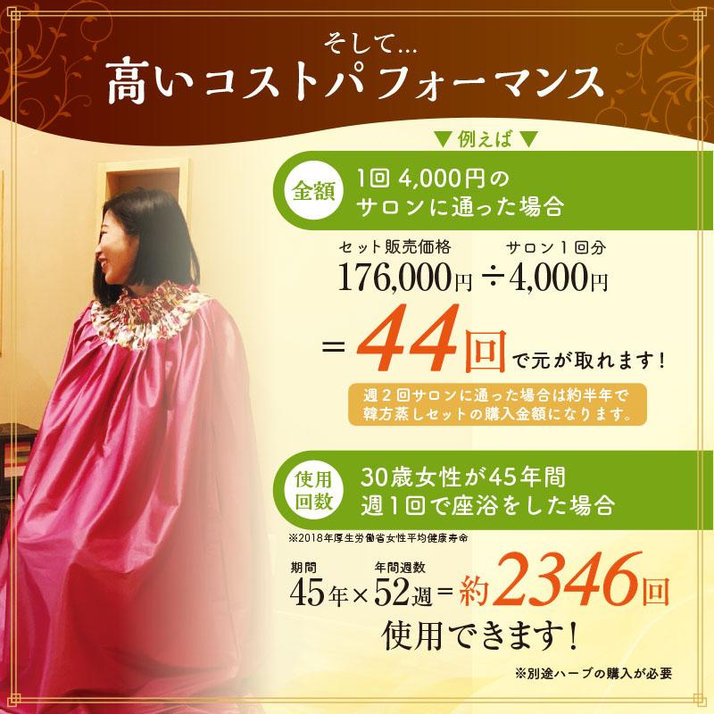 ファンジン 黄土韓方蒸し スタートセット よもぎ蒸し 自宅 : ファン