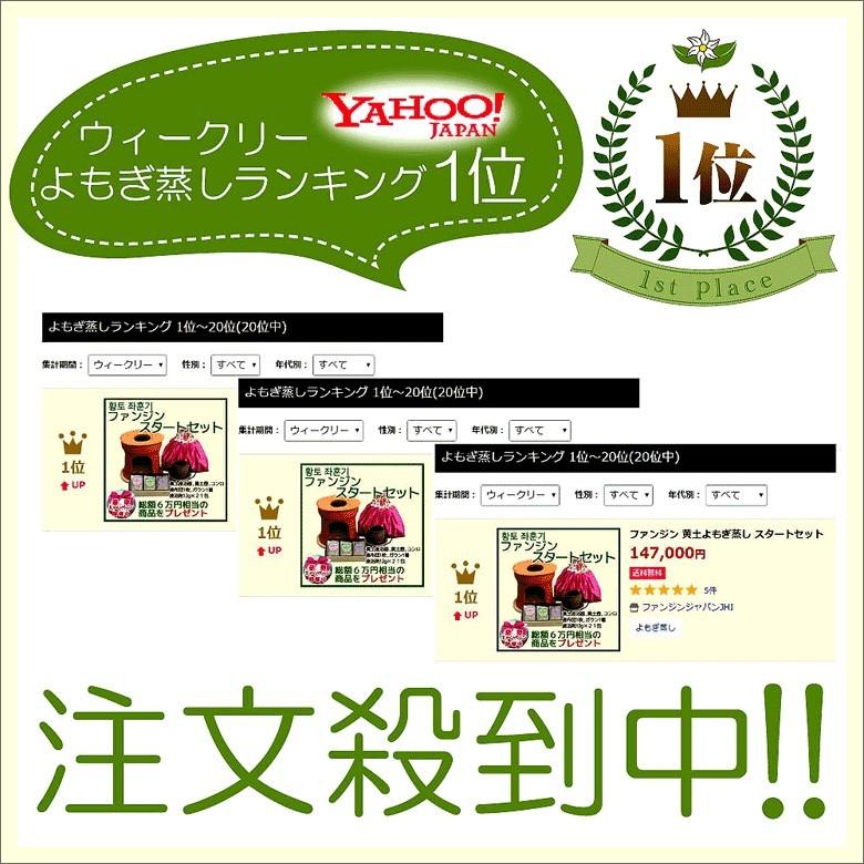ファンジン 黄土韓方蒸し スタートセット よもぎ蒸し 自宅 ファンジン 黄土韓方蒸し スタートセット よもぎ蒸し 自宅