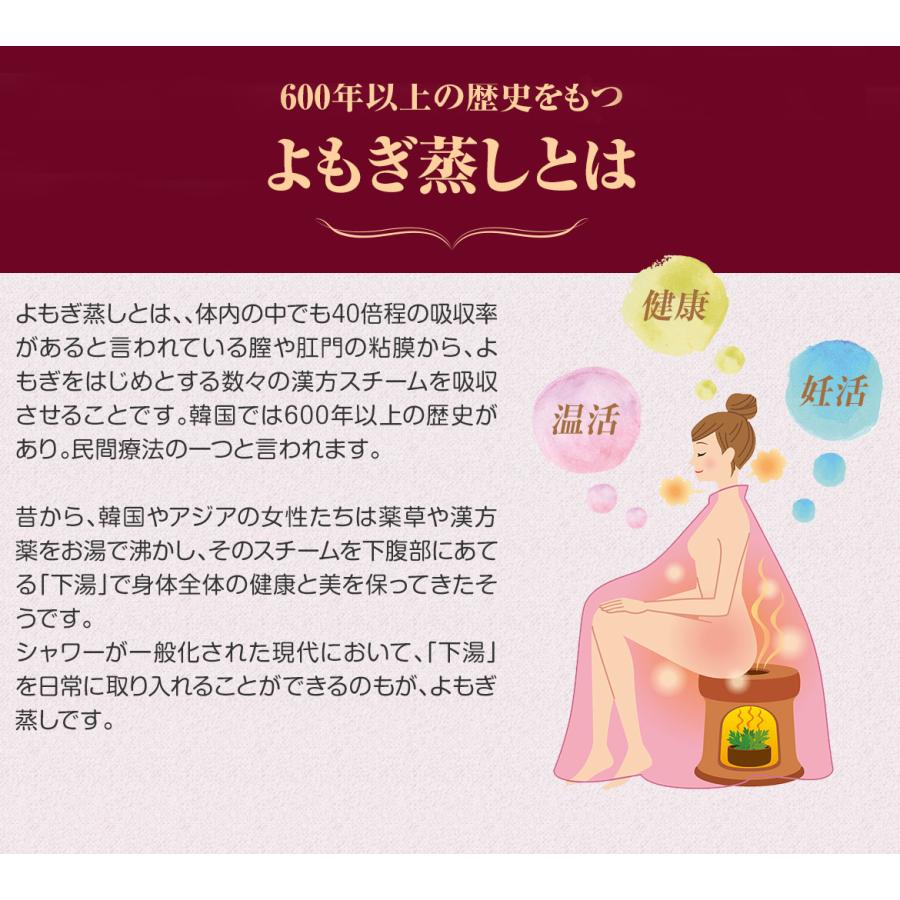 ファンジン Ge黄土韓方蒸しセット よもぎ蒸し 自宅 サロン ファンジン Ge黄土韓方蒸しセット よもぎ蒸し 自宅 サロン