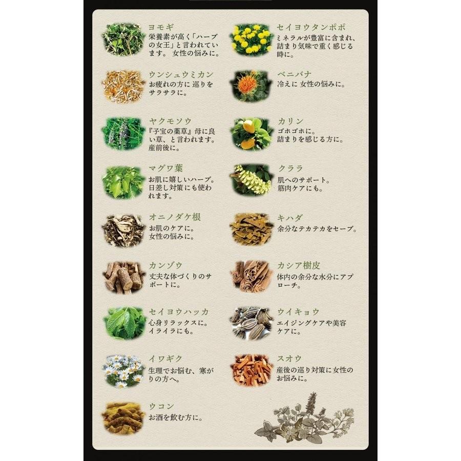 ファンジン 黄土韓方蒸し開業セット よもぎ蒸し サロン : ファンジン