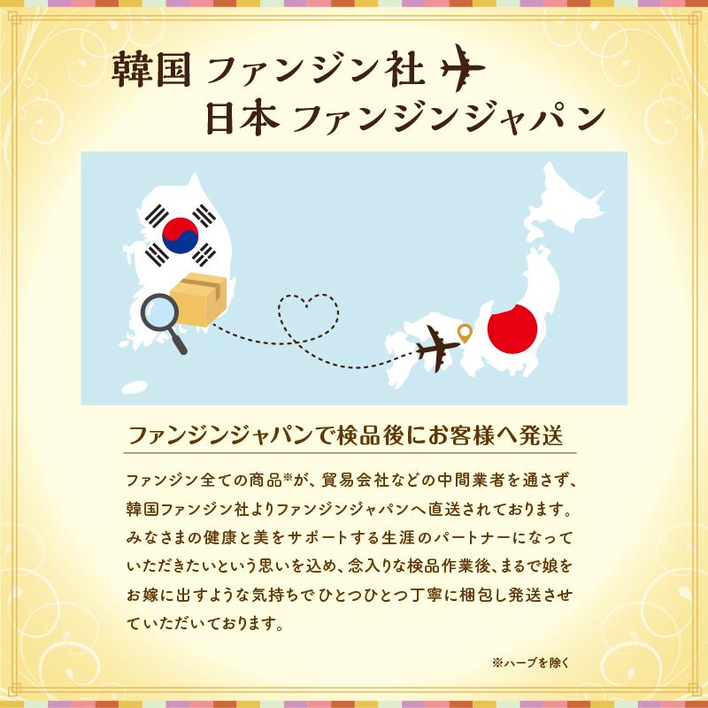 ファンジン 黄土よもぎ蒸し 開業セット 韓方蒸し 黄土 よもぎ蒸し