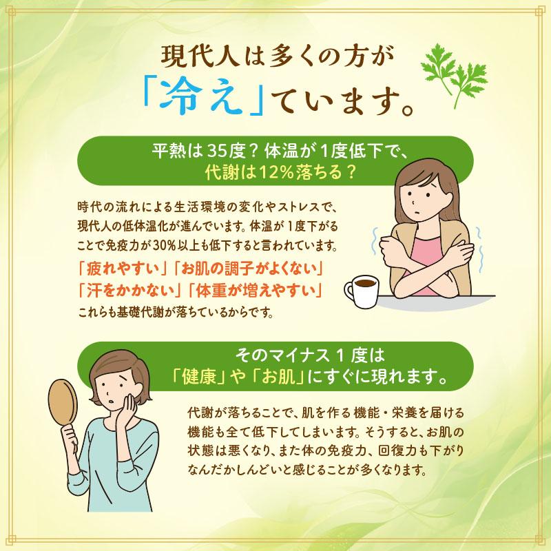 ファンジン 黄土よもぎ蒸し 開業セット 韓方蒸し 黄土 よもぎ蒸し