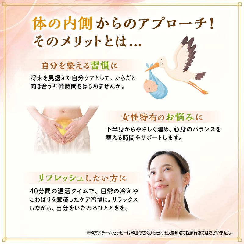 ファンジン 黄土よもぎ蒸し 開業セット 韓方蒸し 黄土 よもぎ蒸し
