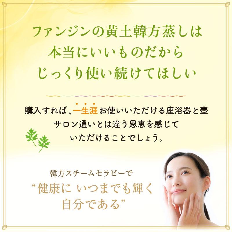 ファンジン 黄土よもぎ蒸し 開業セット 韓方蒸し 黄土 よもぎ蒸し