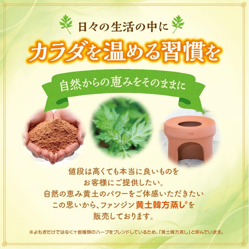 ポイント10倍】ファンジン 黄土韓方蒸し スタートセット 自宅 よもぎ