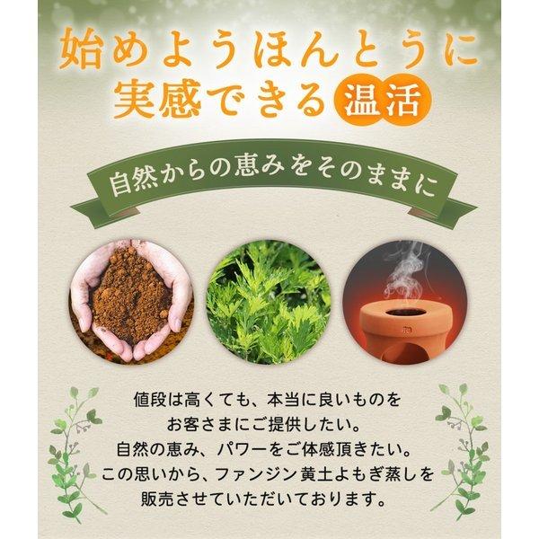 ファンジンよもぎ蒸し 厳選ハーブと無農薬よもぎの極上スタートセット黄土よもぎ蒸し ファンジンよもぎ蒸し 厳選ハーブと無農薬よもぎの極上スタートセット