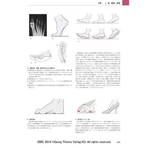 プロメテウス解剖学アトラス 解剖学総論/運動器系 第3版 