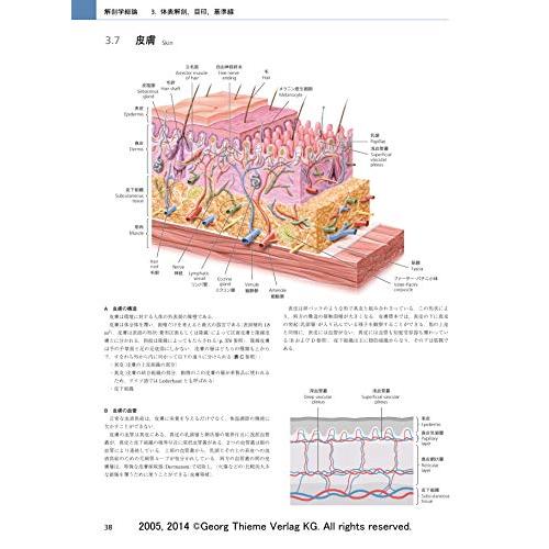 プロメテウス解剖学アトラス 解剖学総論/運動器系 第3版 