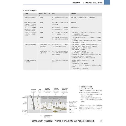 プロメテウス解剖学アトラス 解剖学総論/運動器系 第3版 