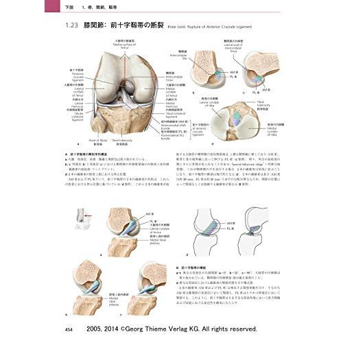 プロメテウス解剖学アトラス 解剖学総論/運動器系 第3版 
