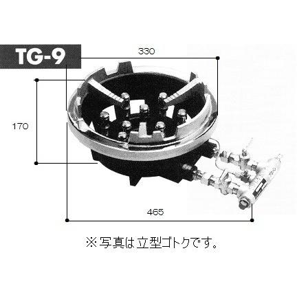 サントク　サントクバーナー(TG型)　TG-9　平型ゴトクタイプ　