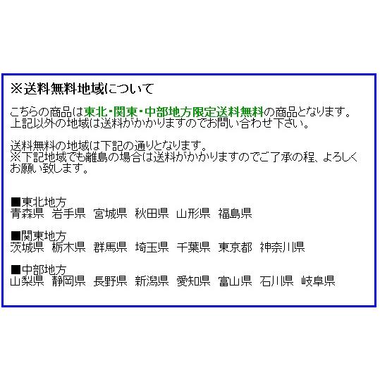 【東北・関東・中部地方限定送料無料】ダイレイ　ジャンボ無風冷凍ショーケース　GTX-76e　　霜取り専用スクレーパープレゼント中！　【個人宅配送不可】｜japan-net-hitachi｜02