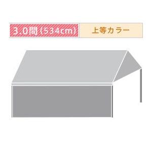 組立式パイプテント一方幕(3.0間)(上等カラー横幕) 軒高200cm