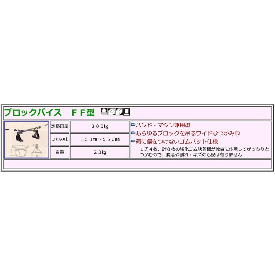 代引不可】〈サンキョウ・トレーディング〉ブロックバイス FF型