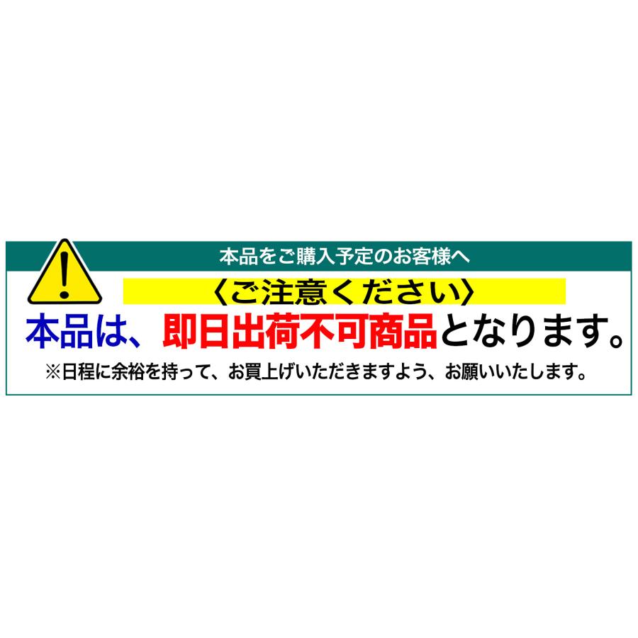 スイコー（SUIKO） 〈スイコー〉SLTタンク SLT-300 代引不可 《個人
