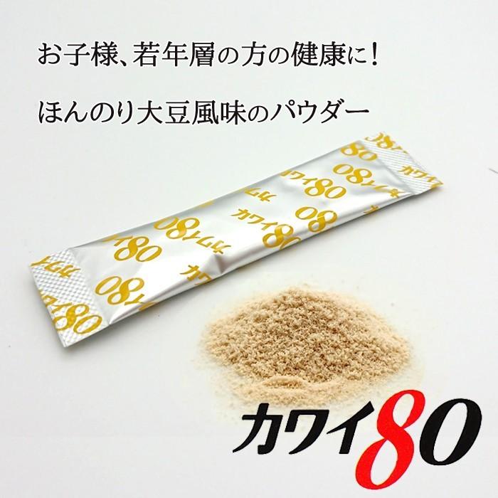Kawai カワイ80 乳酸球菌 カワイ株 80mg含有/包 100包入り