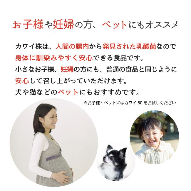 Kawai カワイ300 乳酸球菌 カワイ株 300mg含有/包 100包入り 乳酸菌 河合康雄 河合乳酸球菌 Kawai300 |  | 01