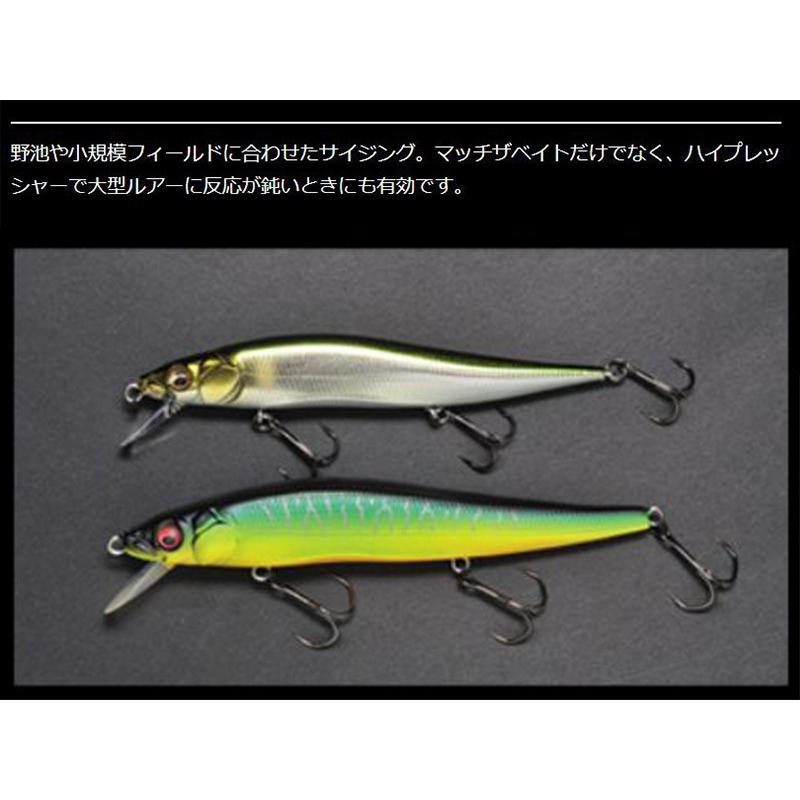 Megabass（メガバス） ビジョンワンテン Jr FA ファインアートカラー