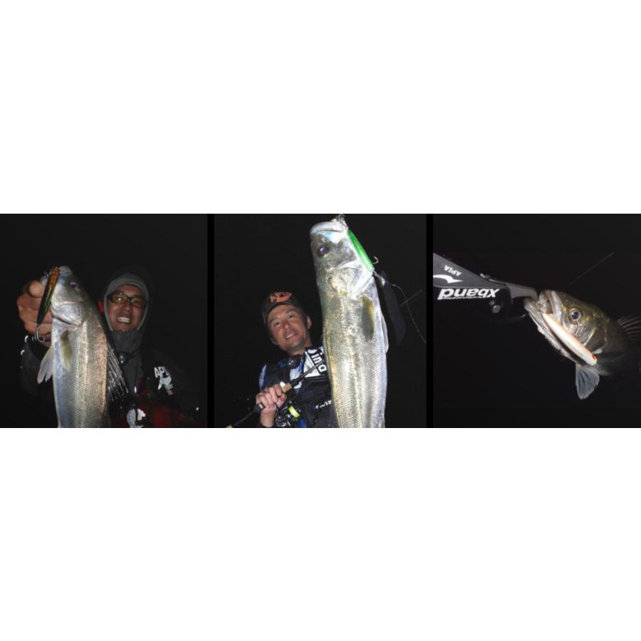 APIA アピア パンチライン 80 #08 イブラン : Japan Bass Tackle