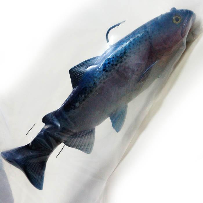 ハドルストン ハドルトラウト 8IN ROF-0