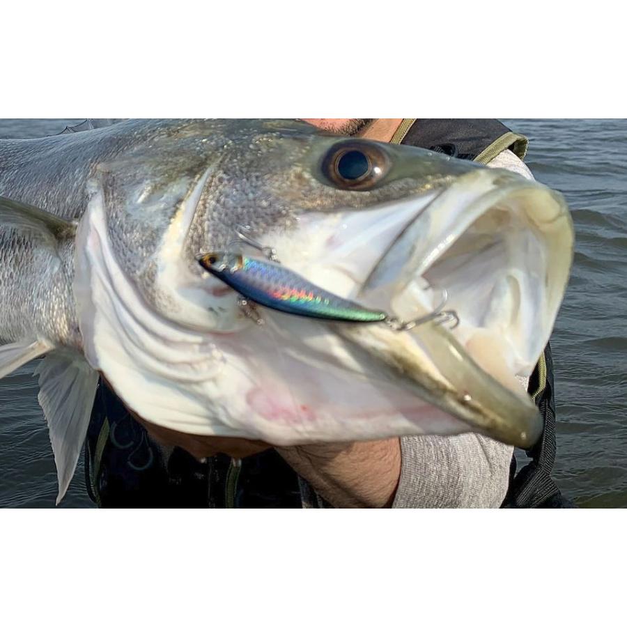 トレフルクリエーション マリエラ 68S : Japan Bass Tackle - 通販