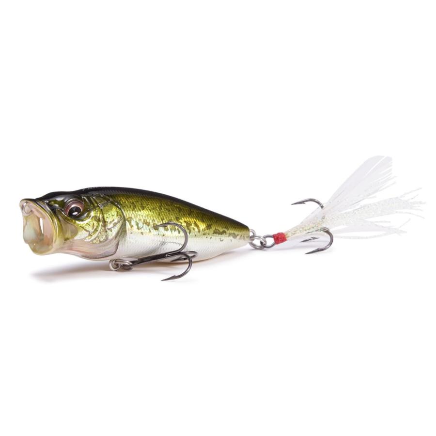 Megabass メガバス ポップマックス POP MAX : Japan Bass Tackle Megabass メガバス ポップマックス POP MAX : Japan Bass Tackle