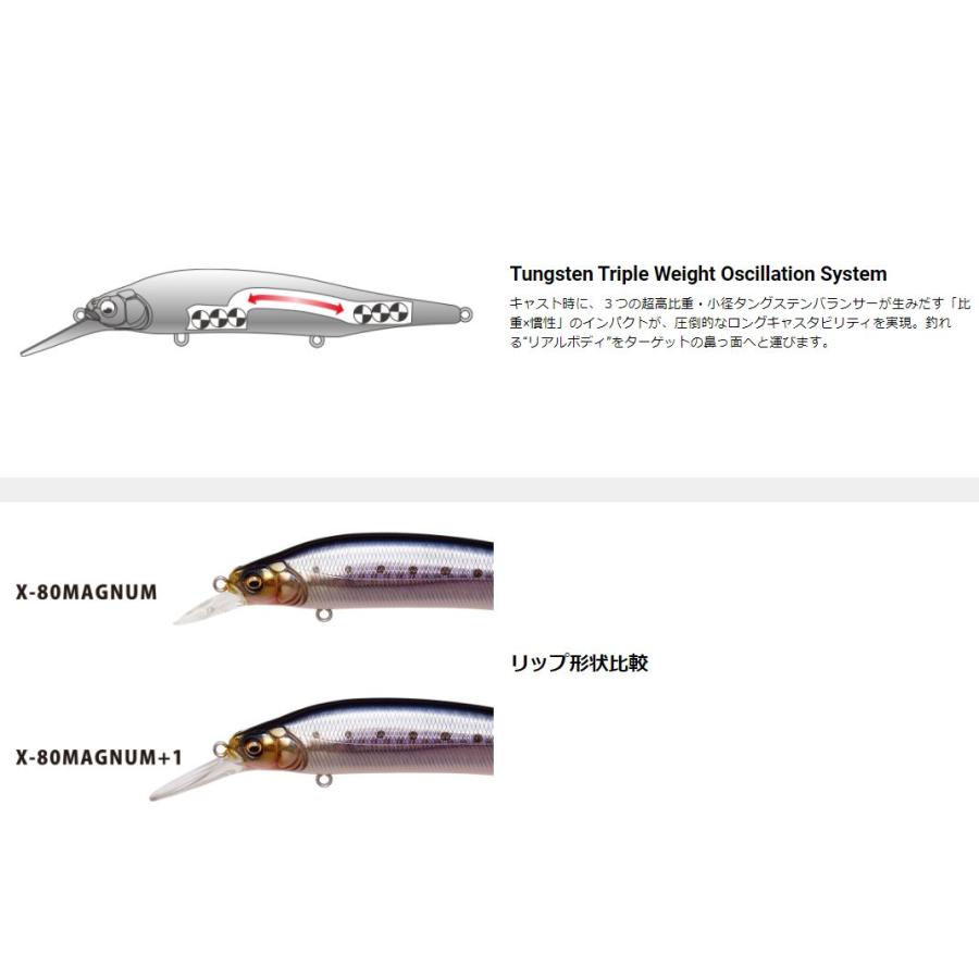 Megabass（メガバス） X-80 マグナム プラスワン +1 SW : Japan Bass