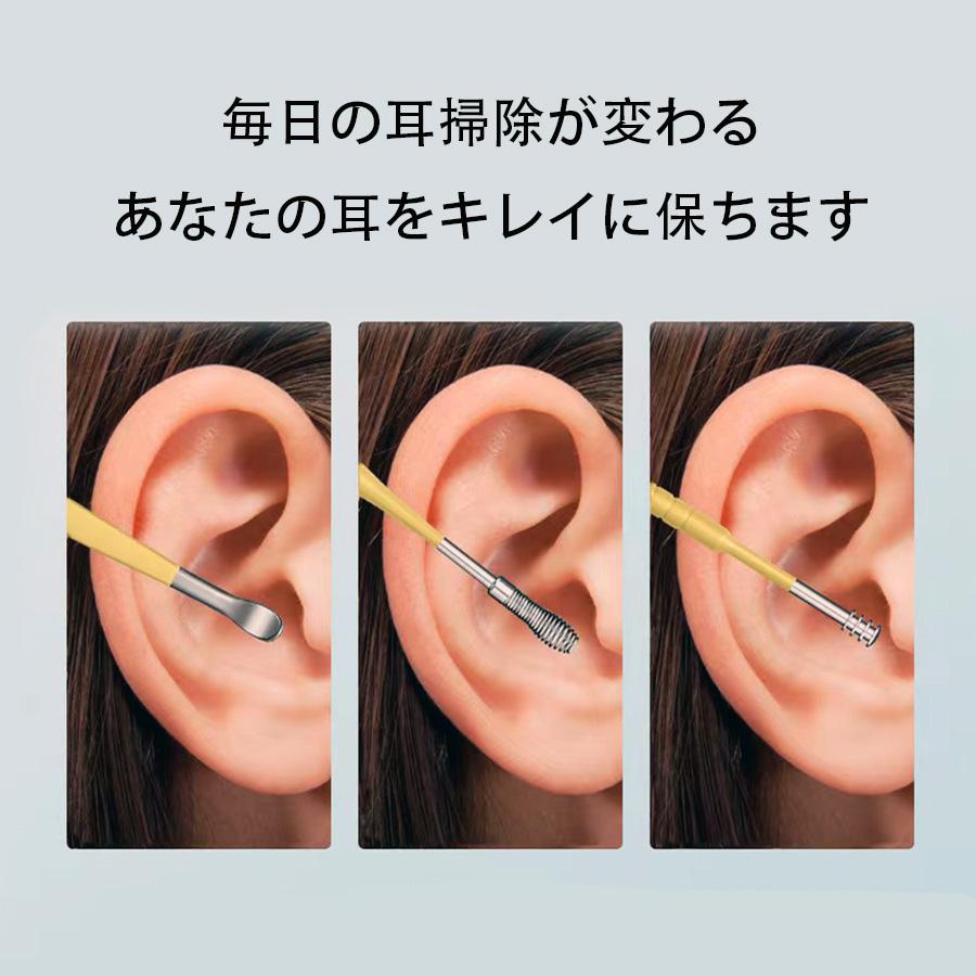 耳かき 6点セット 耳掃除 耳垢取り ステンレス製 みみそうじ 耳かき 6点セット 耳掃除 耳垢取り ステンレス製 みみそうじ