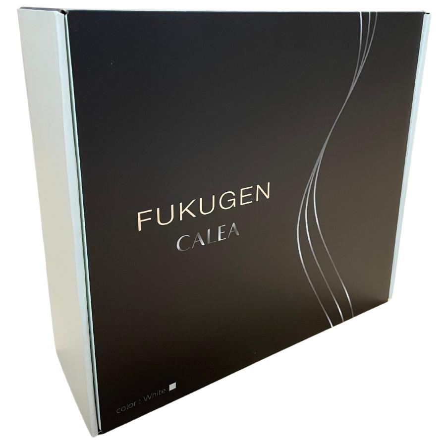 CALEA IZUMI FUKUGEN DRYER DR-RF365-W ホワイト カレア 復元