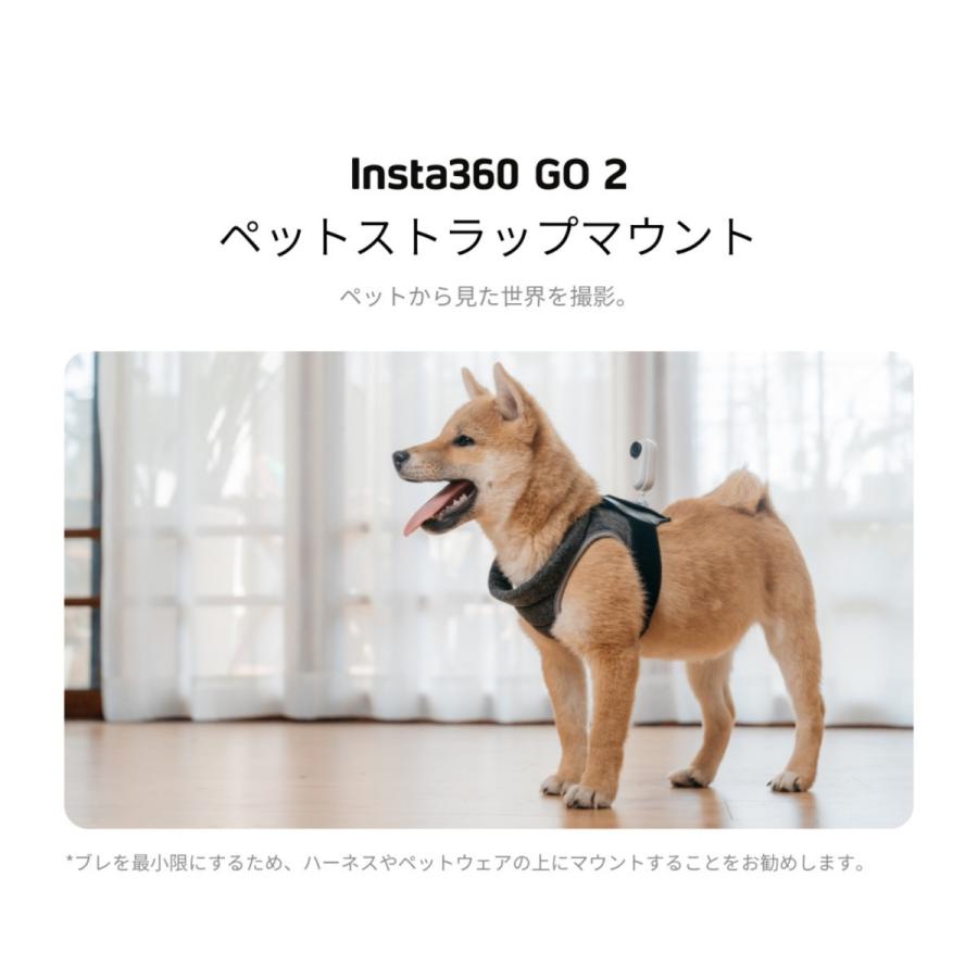 Insta360 GO 2 ペットストラップマウント CING2CB/J アクション