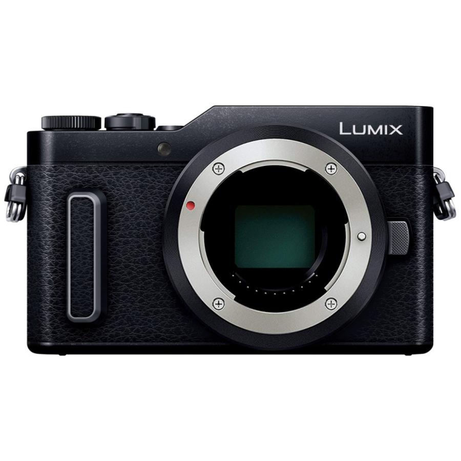 Panasonic パナソニック ミラーレス一眼カメラ ルミックス GF10 ボディ 
