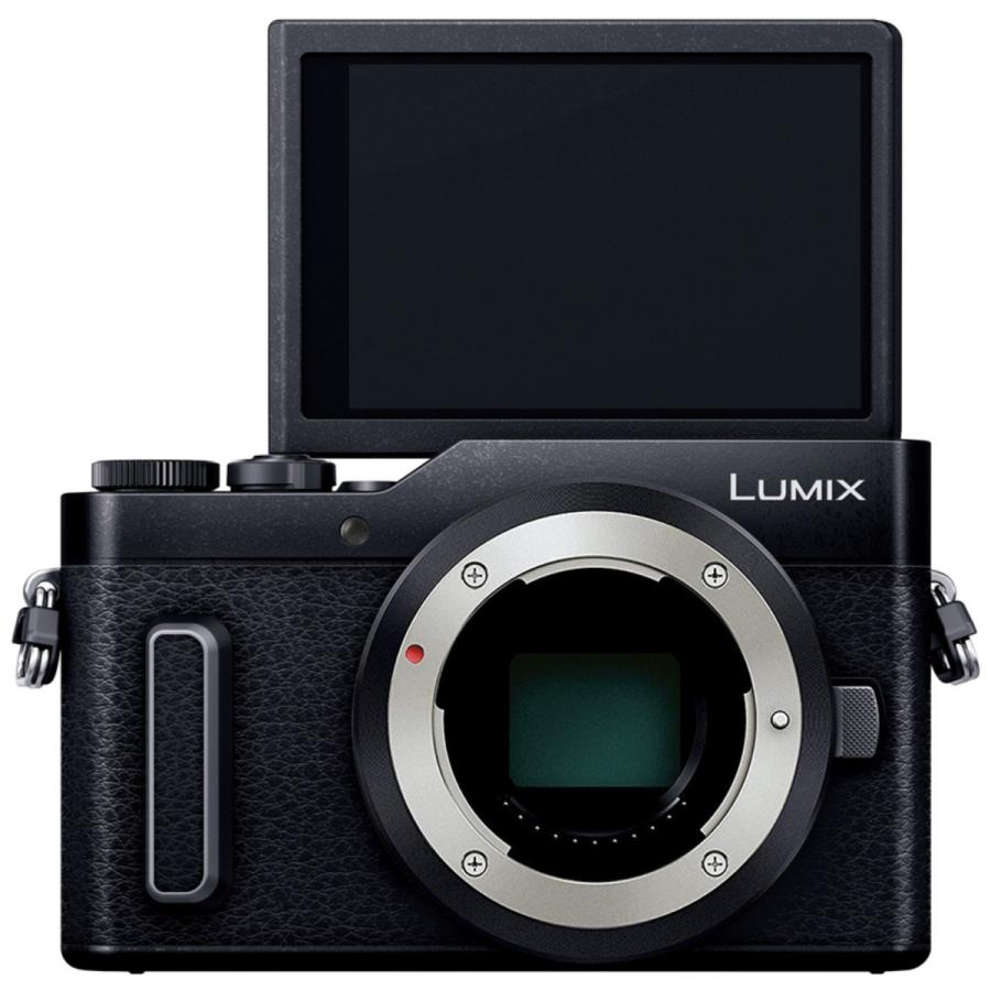Panasonic パナソニック ミラーレス一眼カメラ ルミックス GF10 ボディ 