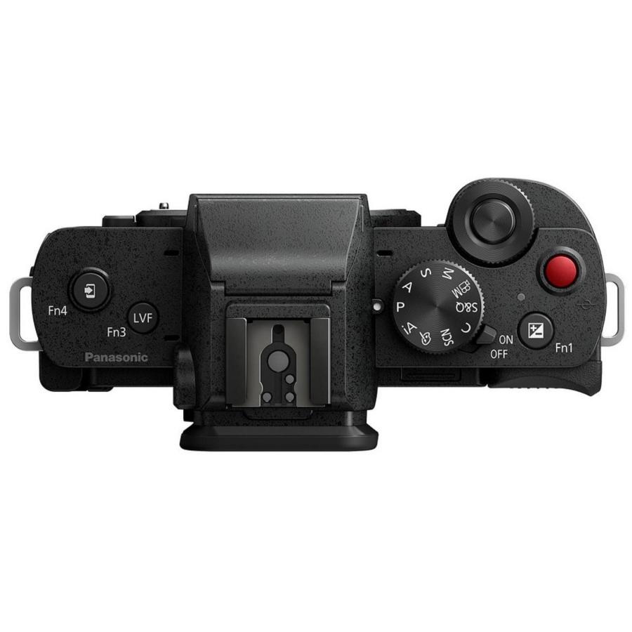 LUMIX Panasonic パナソニック ミラーレス一眼カメラ DC-G100D LUMIX Panasonic パナソニック ミラーレス一眼カメラ DC-G100D