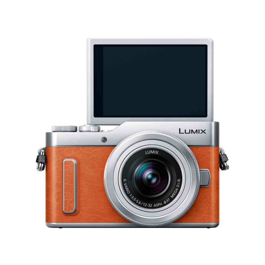 LUMIX Panasonic パナソニック ミラーレス一眼カメラ ルミックス