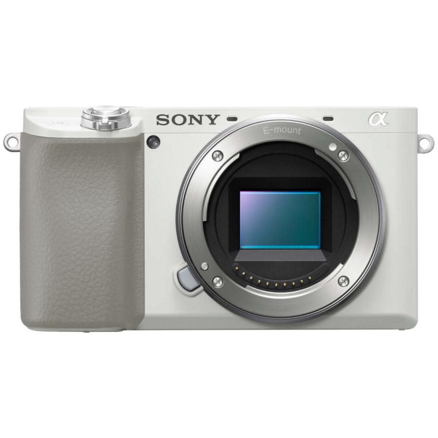 ALPHA（テレビ） SONY ソニー ミラーレス一眼カメラ α6100 ボディ 