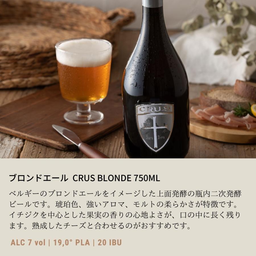 ✴︎高品質 ✴︎ローマングラス ボトル 破片 ギフト クラフトビール イタリア直輸入 750ml 選べる 2種類 Soralama