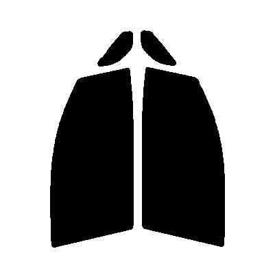 スパッタゴールド80 運転席・助手席 デイズ B21W カット済みカー