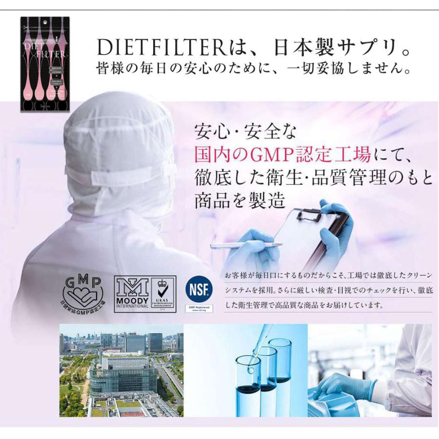 大好き 即納 Dietfilter ダイエットフィルター 30粒 チャコールダイエット チャコールクレンズ 安心の日本製 メール便送料無料 Whitesforracialequity Org