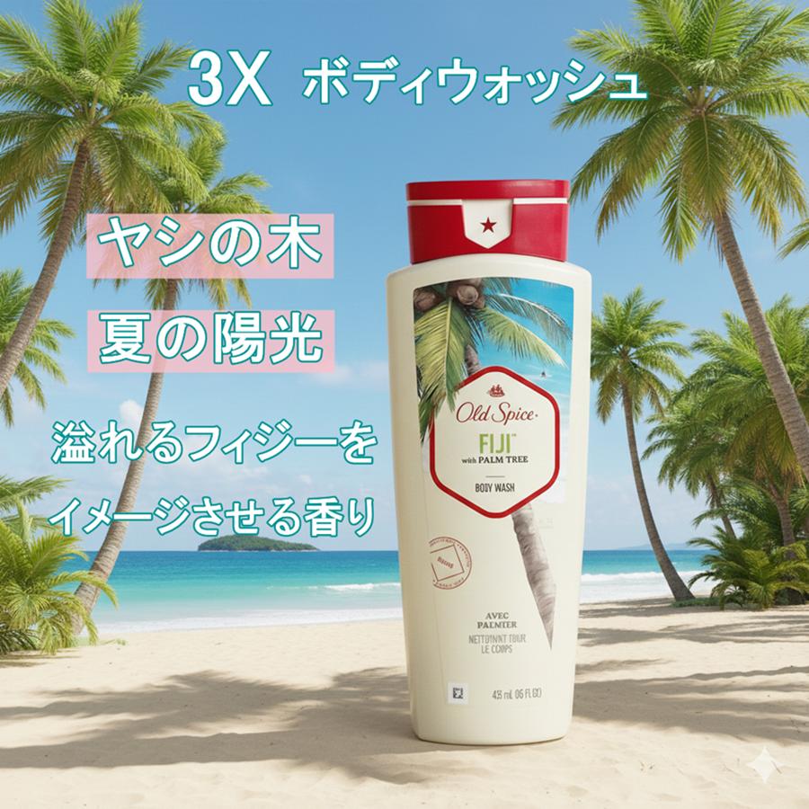 Old Spice（オールドスパイス） 2個セット【ボディウォッシュ ボディ