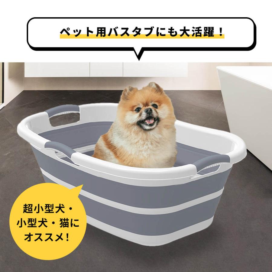 値下げ　直接引取り＆配送ok　ペットバスタブ　犬　青色　トリミング用品 タオルおまけ付※なくなり次第終了】 ペット バスタブ 折りたたみ