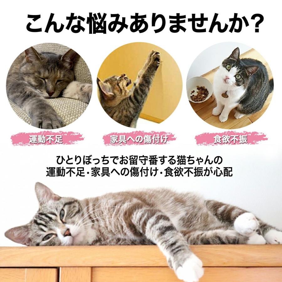 猫 爪とぎ 三角型 ボール付き 2種類 おもちゃ つめとぎ ダンボール エコ素材 おもちゃ兼用 ボール入り 送料無料 ストレス解消 三角形 家具保護 ぶら下げ Up 635 Up 635 Sunrペットキャリーソープフラワー 通販 Yahoo ショッピング