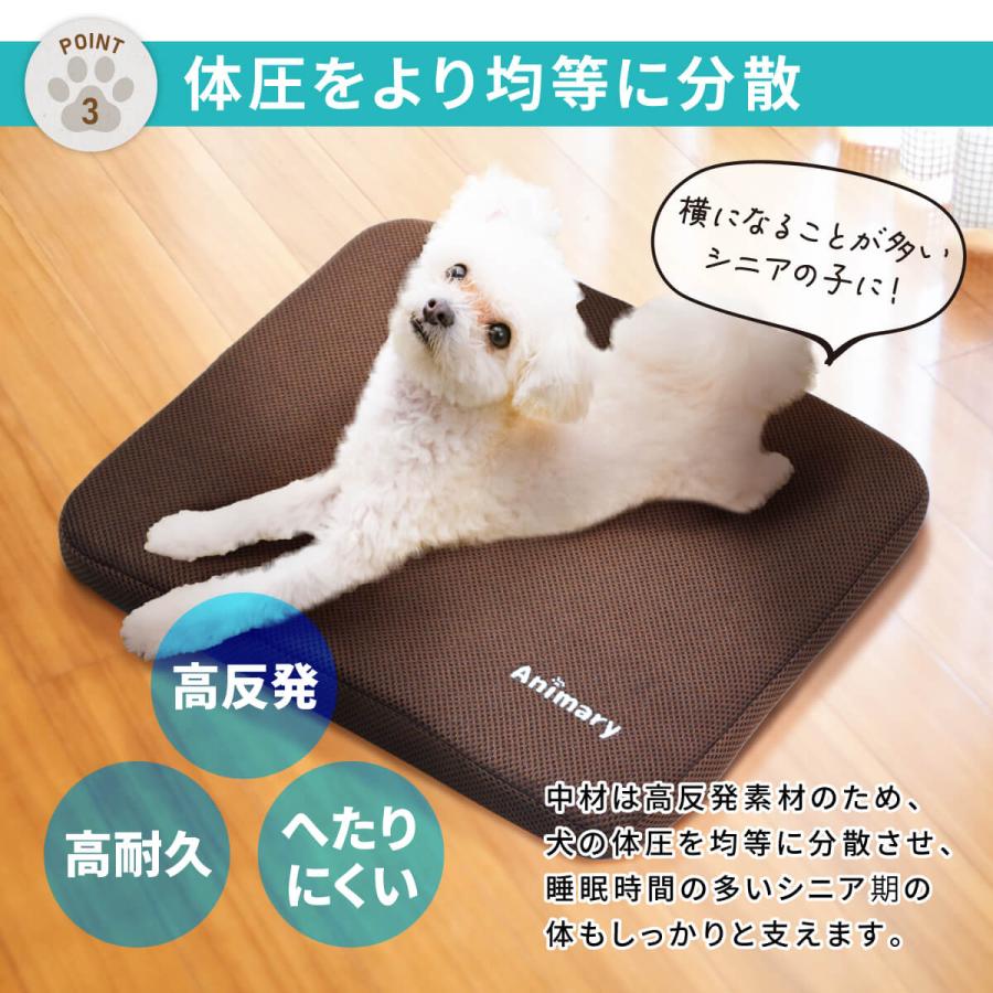 ペットベッド 洗える ペットクッション 速乾 スクエア 高反発 カバー付