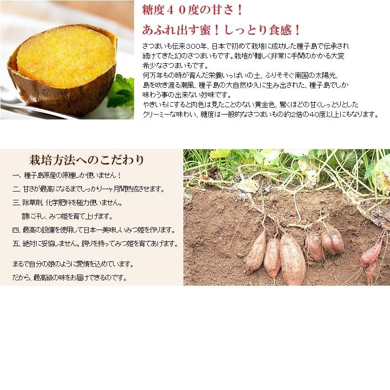 送料無料　種子島甘蜜芋みつ姫　冷凍焼き芋500g×2袋入り 冷やし焼き芋　冷やし甘いも まるでスイーツ　おやつ　さつまいも 安納芋 食品ロス　コロナ支援｜japanfirst｜04