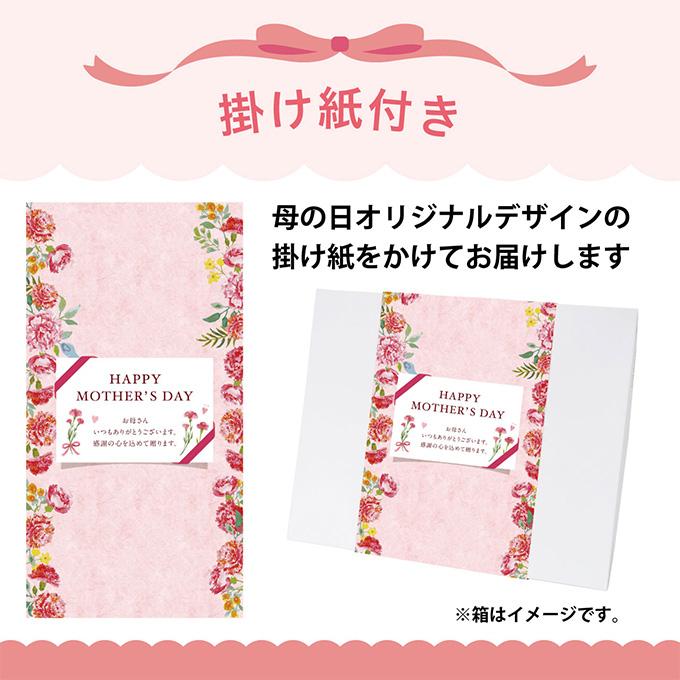 母の日 プレゼント 2024 ギフト 花以外 スイーツ 洋菓子 アイスクリーム 食品 銀座京橋 レ ロジェ エギュスキロール アイス M-A-GK8W｜japangift｜05