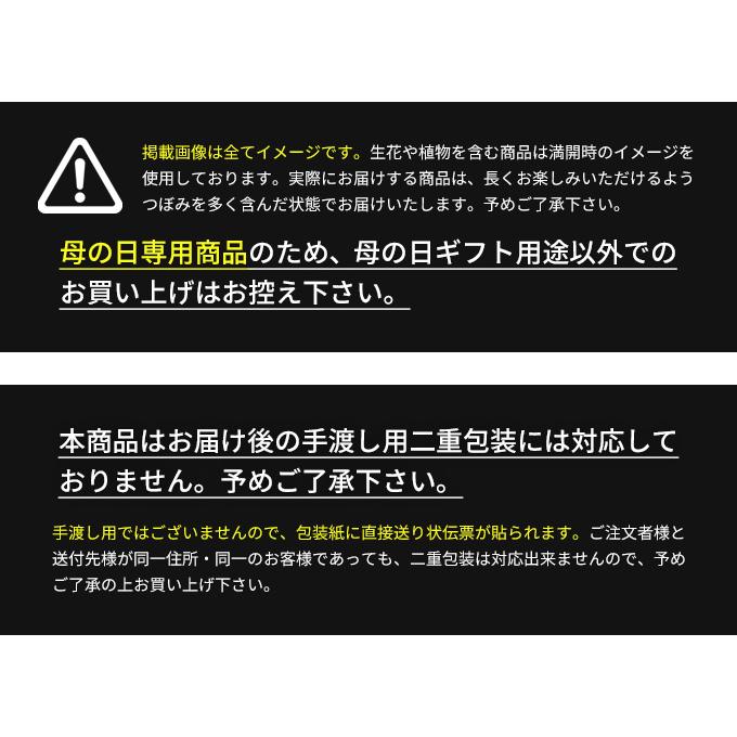 母の日 プレゼント 2024 ギフト 花以外 スイーツ 和菓子 大福 豆大福 食品 グルメ とげぬき福寿庵 巣鴨 とげぬき福寿庵 東京塩豆大福｜japangift｜08